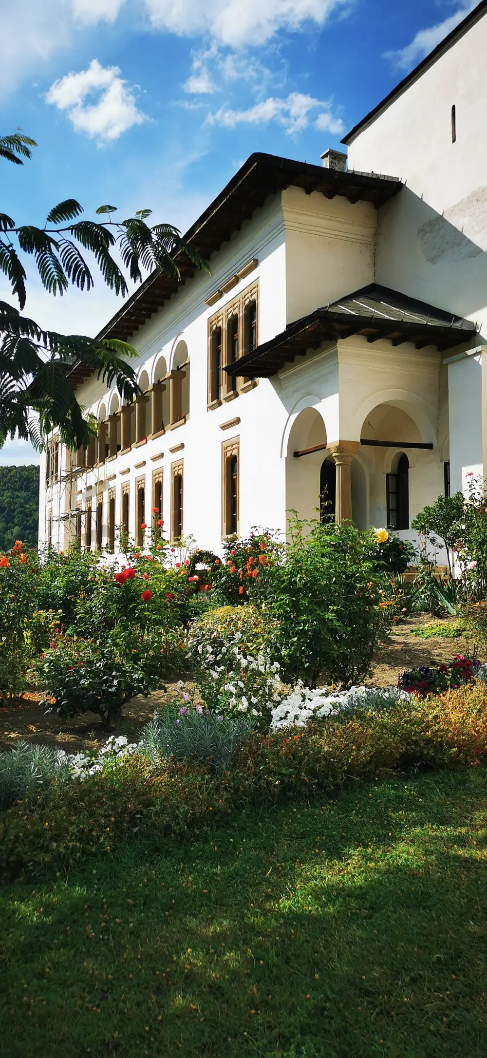 Oltenia
